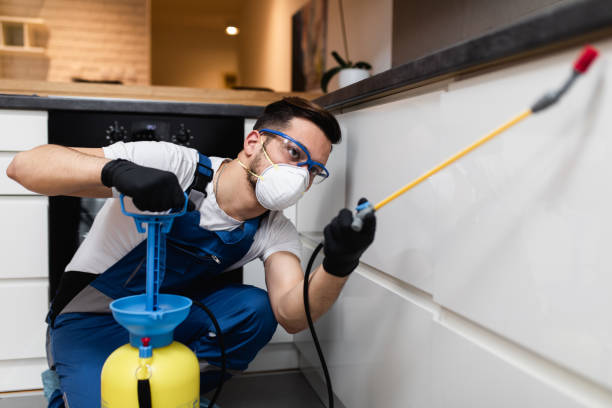 Best Bed Bug Extermination  in Connerton, FL