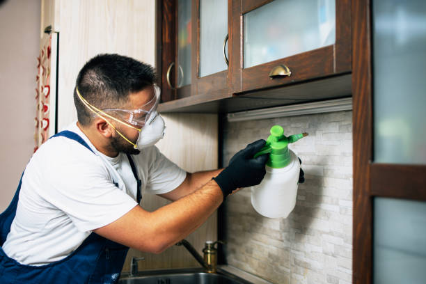 Best Ant Control Services  in Connerton, FL
