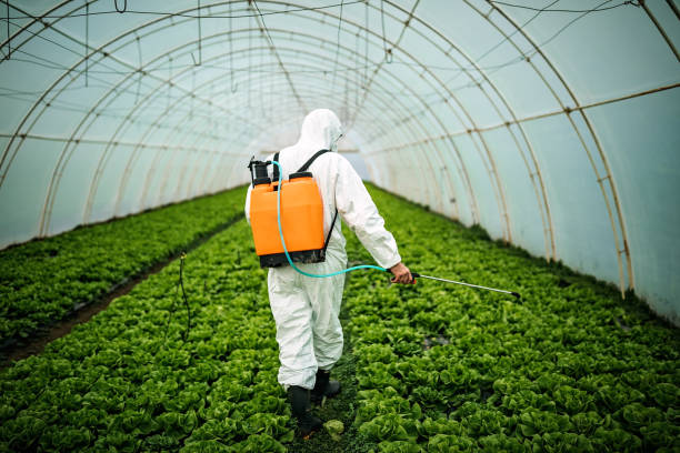 Best Commercial Pest Control Services  in Connerton, FL