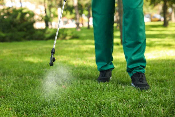 Best Affordable Pest Control Services  in Connerton, FL