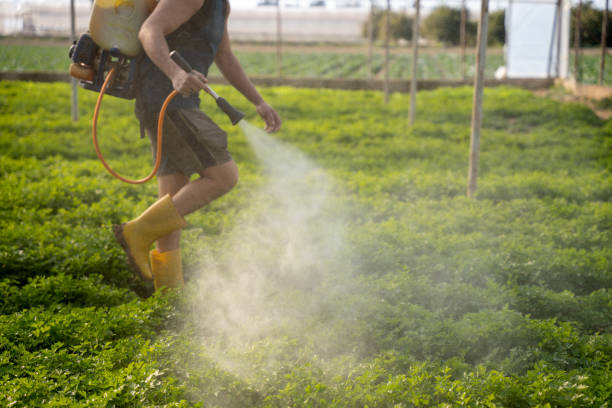 Best Pest Control Near Me in Connerton, FL