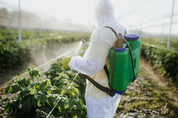 Best Flea Control Services  in Connerton, FL